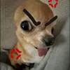 _ljys1