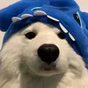 yoshicheyk