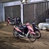 langss259