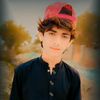 zulafqar373