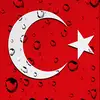 acizkul396