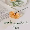 aminaamona5225