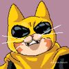 catvicible
