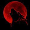 yournightmare3677
