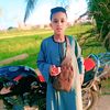 ayman.ahmad79