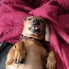 eepic_face