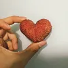 lttdz12