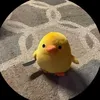 gaconbietchoitoptop