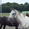 ems.land.emilia