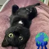 aimapagador
