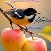 syed.muhammad.zee4