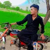malikshahidmaril