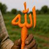 sheikh_idrisa