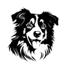 animal_doc72