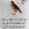 user7597310713170