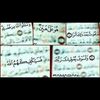mahmoudhashesh745