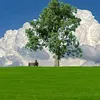 live.of.life35