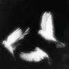 itzzme_dietherr