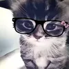 00username22