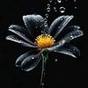 user27120114539364