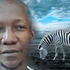 mohamadou524