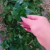 hhfzc28