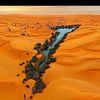 mohamed.ahmed.sal91