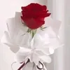 yyu7_yuq