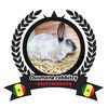 Usman_rabbitry