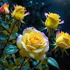 reem.ali5284