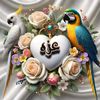 azza.elsayed859