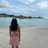 vivi.mainn