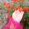 adnan.sami8786
