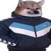 thebalkandoge
