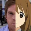 novilinka