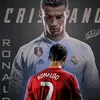 cr771238