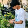 user7490730220504