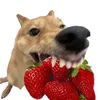 cocopopsdu63