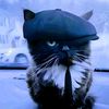 negar0007