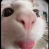 mayli0718