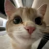jinwoosung620