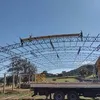 pferreira57