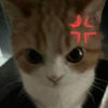 defnotg3n3s1s
