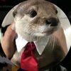 tonycdg