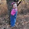 elm_spam1311