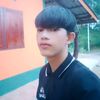 dyelin.s1