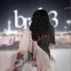 brok3368