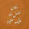 amal.mohamed9124