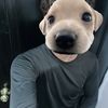 kevsiiito