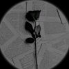 julian2828282666